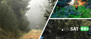 A collage of three images showing a person in an orange jacket walking through a foggy forest, towards sunlight, and a close-up of trees with 'SAT 98%' overlay.