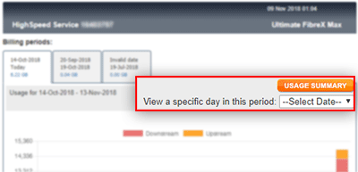 Screenshot CustomerZone View specific Day