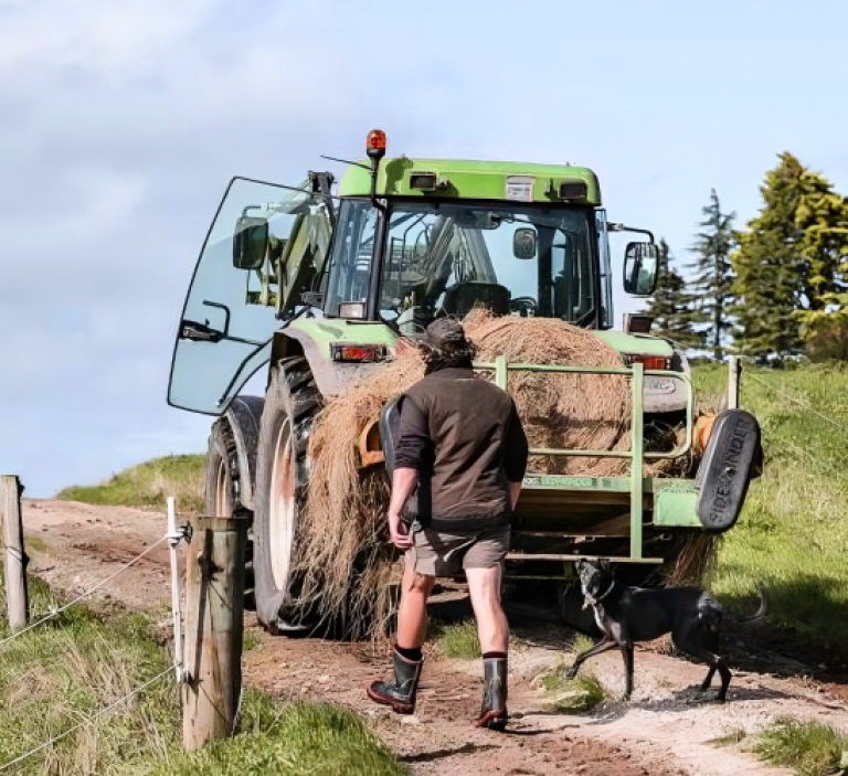 A man and his dog walking on a dirt road behind a tractor.